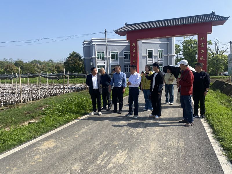 民革宣城市第八支部赴沈村镇开展乡村振兴专题调研活动